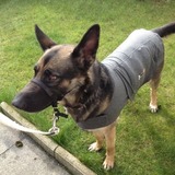 Roxie