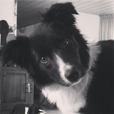 Amy