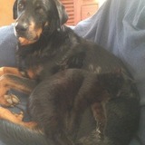 Moi et mon copain Biloute qui dort sur moi
