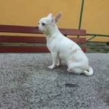 Blanca