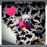 Fiby