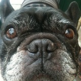 Louna