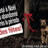 Fondation 30millions d'amies