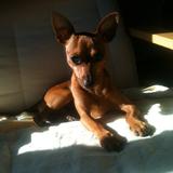 Sisco
