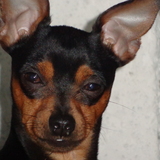 Gahos