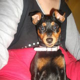 Ines