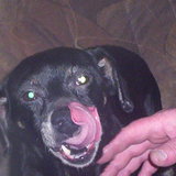Poupete