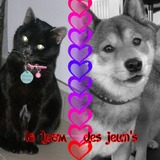 La Team des Jeun's !