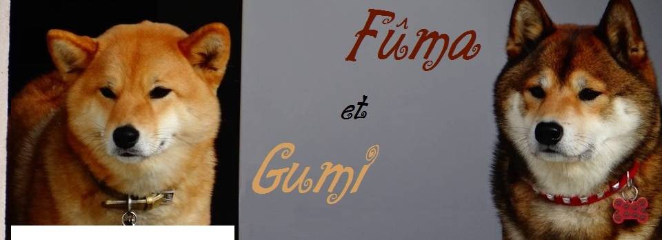Fûma~Gumi