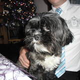 chipie