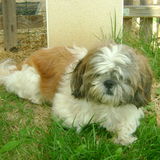 Billy