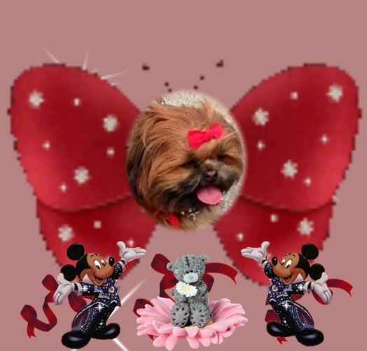 Au coucher du Soleil