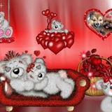 Pour mon tit Cheri je t'aime ❤❤❤