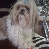 CHARLOT
