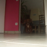 Coucou mes amis :)