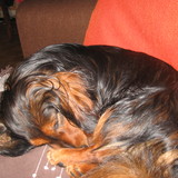 ficelle