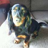 Billy