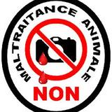 CONTRE LA MALTRAITANCE MAIS POUR L'AMOUR DES ANIMAUX