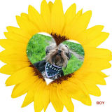 merki boy ♥♥