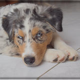 I'm watching you !