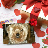 ♥♥♥POUR TOI MARYSE♥♥