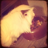 Yummy yummy!