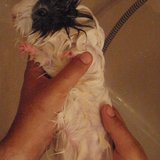 Une petite douche!