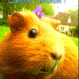 Question ChonChon ! 
