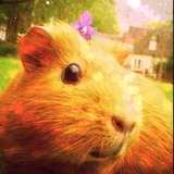 ✿Praline ✿