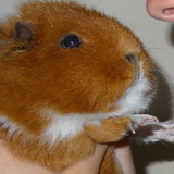 Choupa ♡