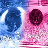  Team des montages 