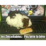 Concours: Les Zincollables