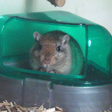 Petite bouille ♥