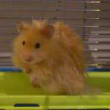 ♥Speedy♥