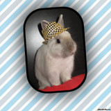 les pitits lapins