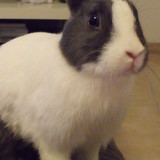 ♥