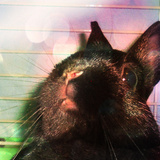 ♫ En avant les concours photos ♫