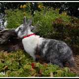 dans le jardin =)