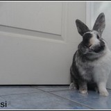 =)