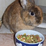 Cookie