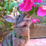 Concours photo