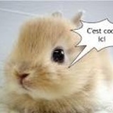 Les conseils de Benny