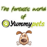 The fantastic world of YP