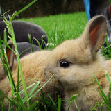 Mon bébé&hearts;