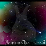 Montages,couverture de biscotte