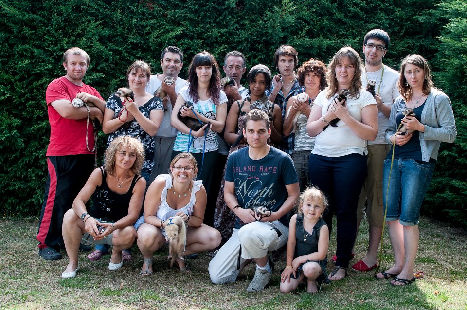 Rencontre entre furet