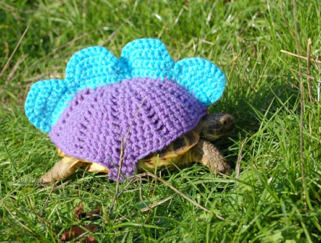 tricoter une tortue