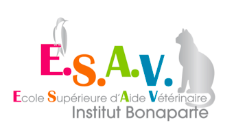 logo de l'esav