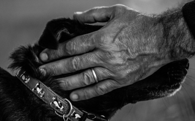 Il meurt en sauvant la vie de son Yorkshire