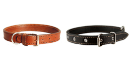 What You Need to Know About Picking Dog Collars